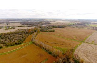 Property photo 12 - IMPORTANT INDIANA LAND AUCTION - 346+/- ACRES - 3 FARMS OFFERED IN 9 TRACTS IN WAYNE COUNTY, INDIANA